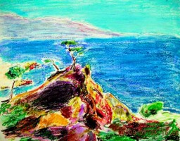 Lonely Cypress 10x8 / 2009