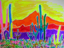 Saguaro National Park 14x11 / 2007